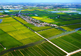 農(nóng)業(yè)四情監(jiān)測預警系統(tǒng)