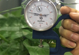 鄭州環(huán)境監(jiān)測(cè) 鄭州環(huán)境監(jiān)測(cè)