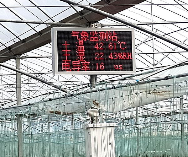 農(nóng)業(yè)大棚園區(qū)氣象監(jiān)測(cè)